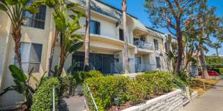 20317 Saticoy St. Gallery 29