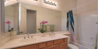 Incredible amenities, SOLAR, gorgeous backyard with private pool!  New Turf! Gallery 23