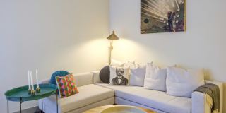 Agave Gallery 6