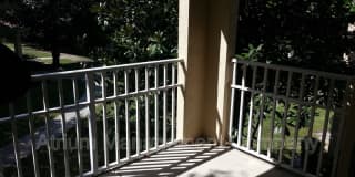 323 Arbor Lakes Circle Gallery 11