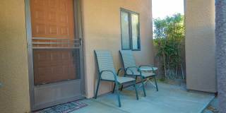 28984 Desert Princess Drive Gallery 17