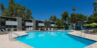 Scottsdale 59 Gallery 13