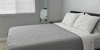 22414 Scarlet Sage Way Gallery 28