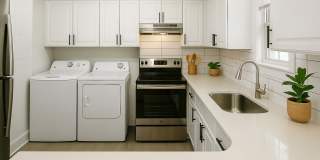 Hidden Colony Gallery 27