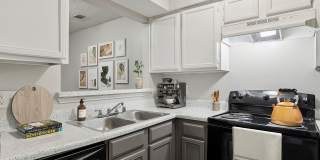 ReNew Fairmont Park Gallery 1