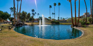 Gorgeous property in Courtside Casitas at the Racquet Club Scottsdale.   Luxury living and like being at a Resort!!! 5 Pools!!  Updated Unit!!!  This place is gorgeous!!! Gallery 1