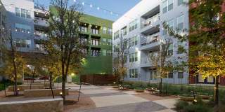 AMLI at Mueller Gallery 31