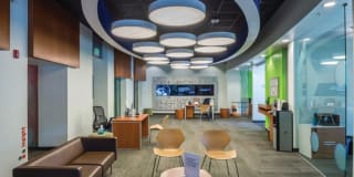 The Verdant The Verdant Gallery 30