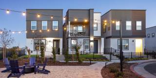 Cyrene at Meadowlands Gallery 41