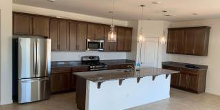 29437 N 113th Lane Gallery 28