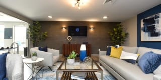 The Everly Gallery 15