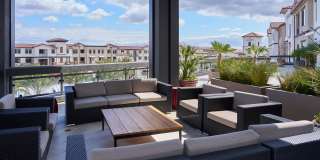 Vineyards Gallery 53