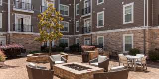 Red Knot at Edinburgh Gallery 46