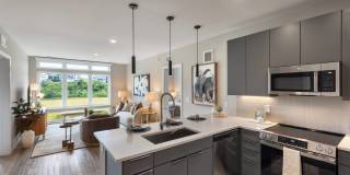 The Collins The Collins Gallery 14