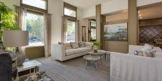Aria on Cave Creek Gallery 29