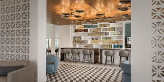 Roadrunner on McDowell Gallery 5