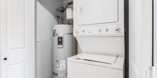 Sofi at Cedar Mill Gallery 11