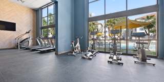 Solas Glendale Gallery 4