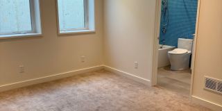 Silver Maple Stunning Gallery 27