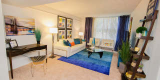 Lake Towers Apartments Gallery 2