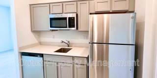 1521 Peach Creek Drive Gallery 4