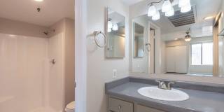 Lion Tempe Gallery 27