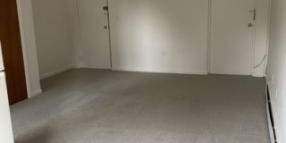 15 Piggott Road Gallery 4
