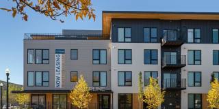 Riverline Gallery 41