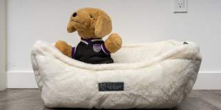 The Strand Gallery 70