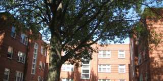 Charming 1-Bedroom Apartment at Jamieson Apartments – Updated & Cozy Living in St. Francis Neighborhood! Gallery 21