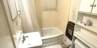 Move in Special: 1/2 off First Month's Rent - Located in the incredible Belhaven Historic District Gallery 8