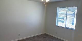 11389 Summerwinds Court Gallery 6