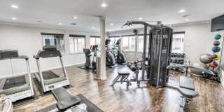 Juniper Springs Gallery 25