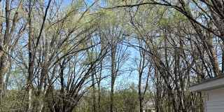 914 Lakeside Avenue Gallery 24