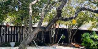 2311 Encino Mist Gallery 15