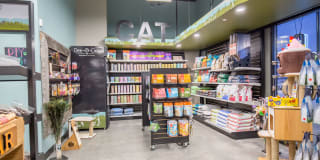 Shiloh Commons Gallery 32