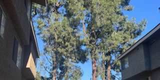 2181 Euclid Avenue Gallery 10