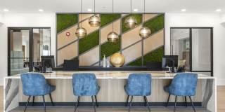 Longleaf at St. Johns Gallery 37