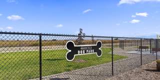 Amazon Falls Gallery 16