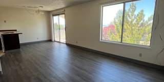 2 Bedroom, 1 Bathroom Upstairs Apartment in the South Suburbs! Gallery 1