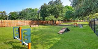 Austin City Lights Gallery 26