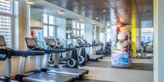 Soho Lofts Gallery 36