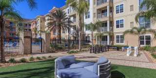 RIZE at Winter Springs Gallery 25