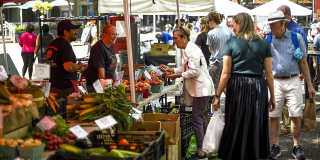 Apartments at River View Gallery 39