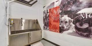 The Morrison Gallery 86