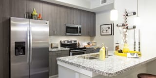 Shalimar at Davie Gallery 2