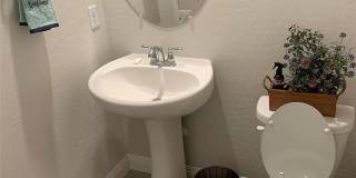 92 Lake Oasis Street Gallery 23