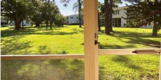 91 Ventnor Gallery 19