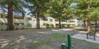 Northgate Apartments Gallery 19