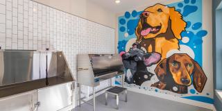 Viridian Apartments Gallery 28